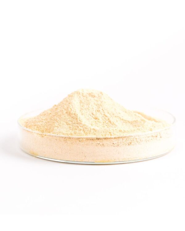 BIO Pineapple Powder – Bild 2