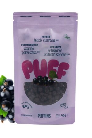 suszone owoce – suszona czarna porzeczka BIO