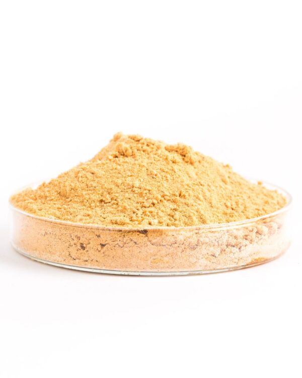 Bio-Mangopulver – Bild 2
