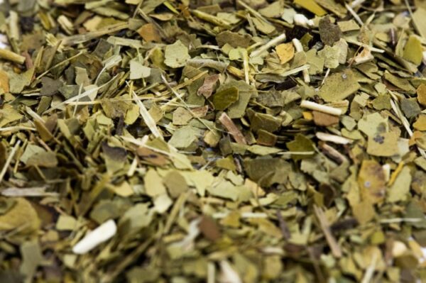 Yerba Mate Green