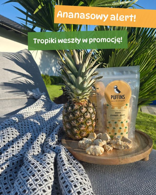 Ananasowy alert! 🍍🍍🍍 Tropiki weszły w promocję!🌴

Specjalnie na Majówkę - 2 opakowania chrupiących ananasów za 25 zł! 

👉 https://tiny.pl/97-4v8ns

#puffins #suszoneowoce #ananasy #suszoneananasy #majówka #maj